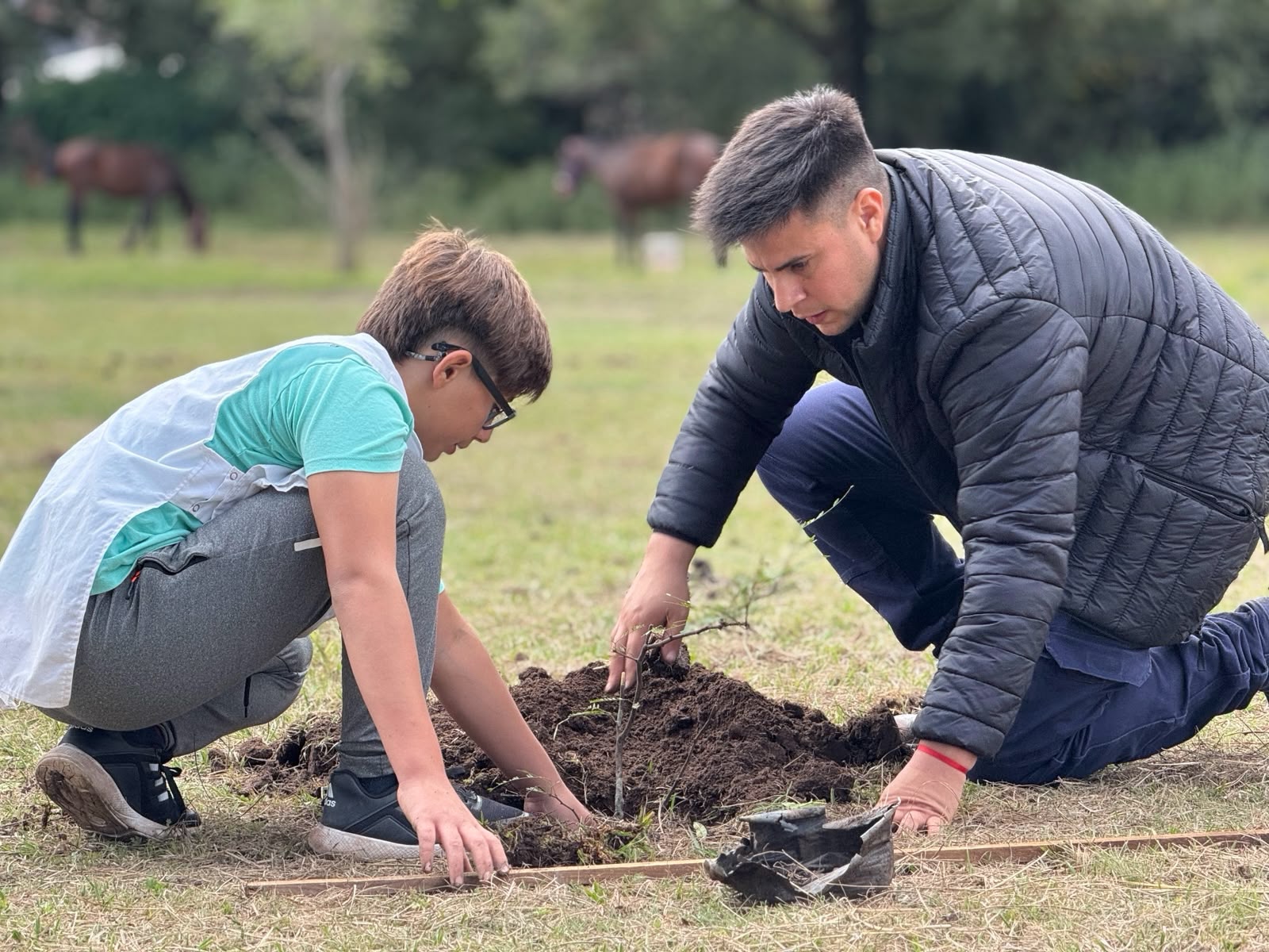 Bosques de bolsillo y reforestación